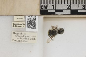 Media type: image;   Entomology 786079 Aspect: Labels